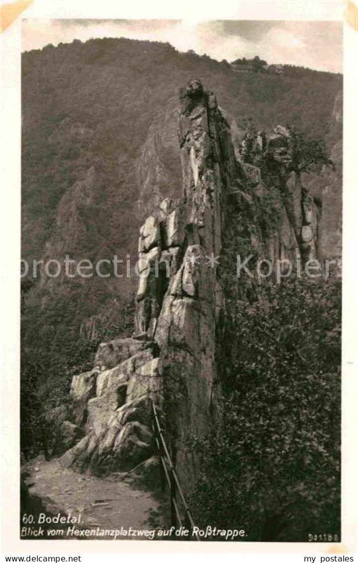 72633754 Thale Harz Bodetal Blick Vom Hexentanzplatzweg Auf Die Rosstrappe Felse - Thale