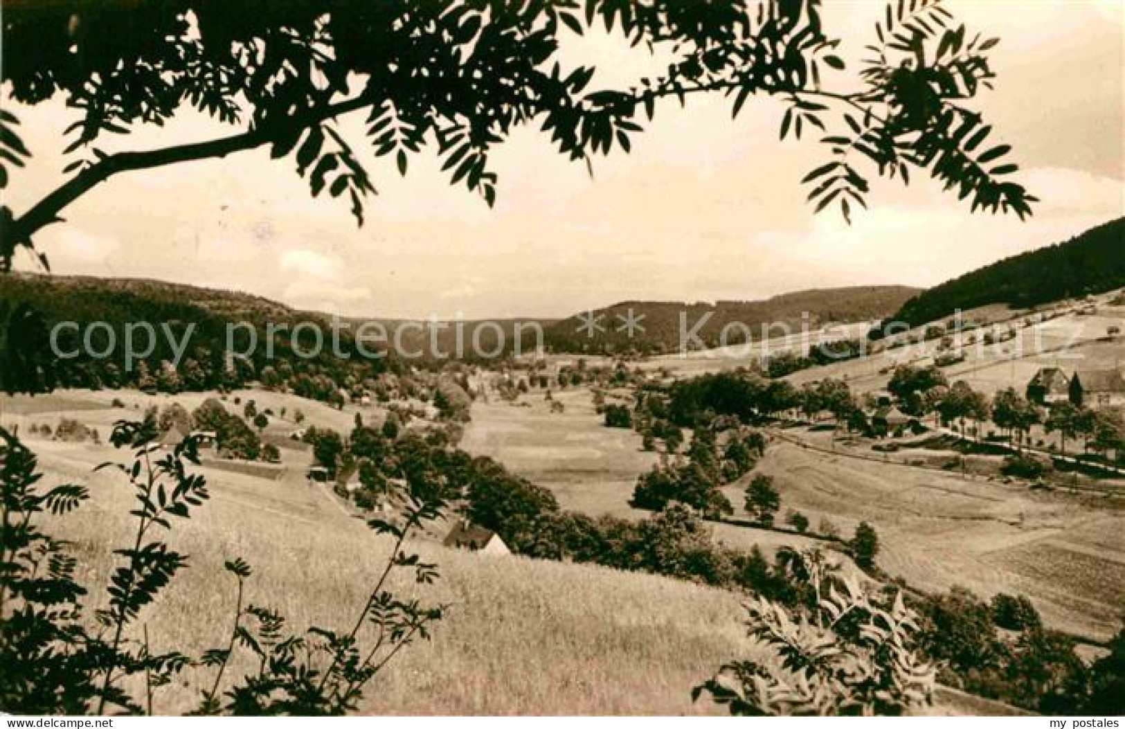 72633708 Holzhau Rechenberg-Bienenmuehle Landschaftspanorama Rechenberg-Bienenmu - Rechenberg-Bienenmühle