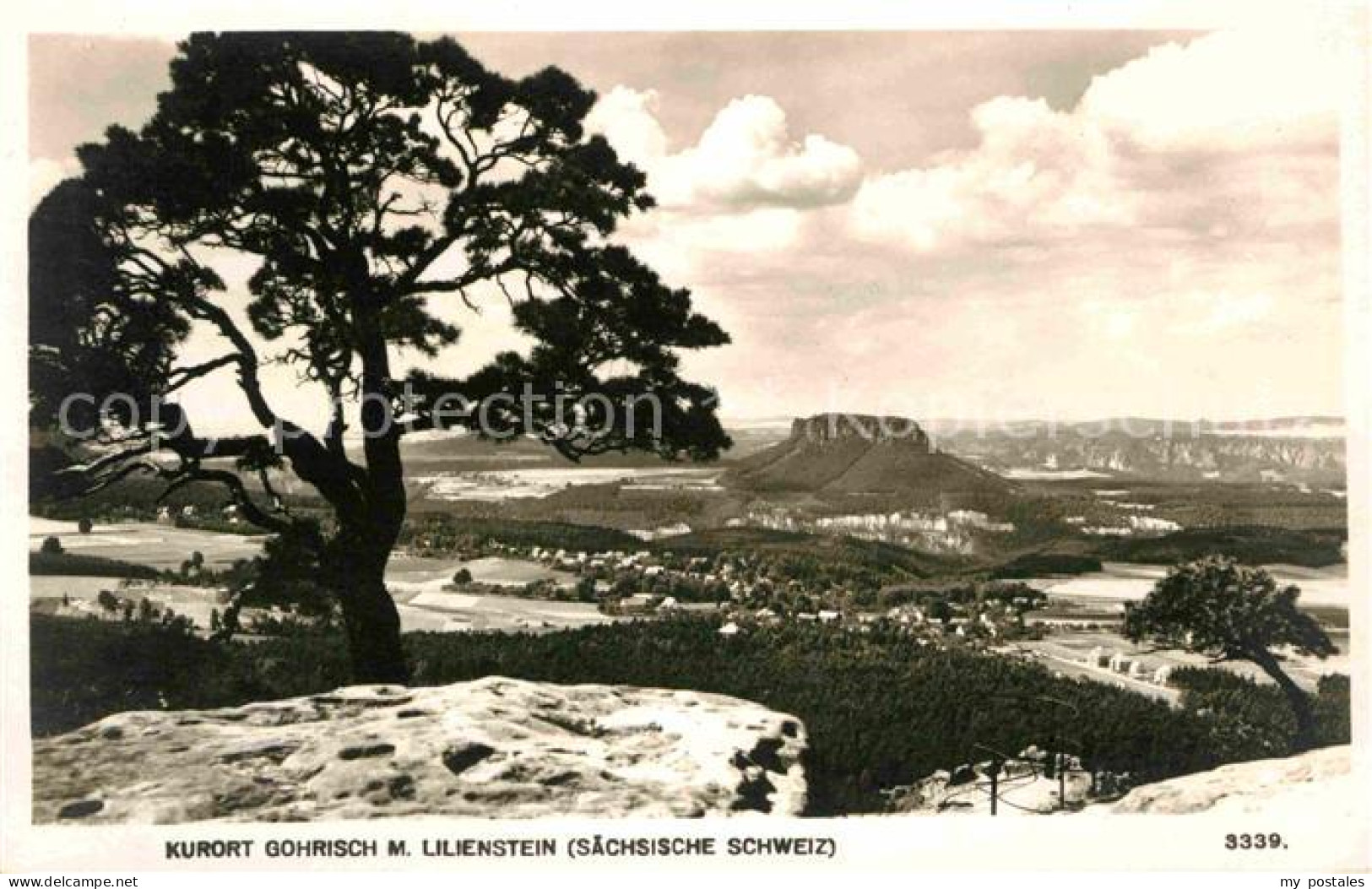 72633653 Gohrisch Panorama Mit Lilienstein Tafelberg Elbsandsteingebirge Gohrisc - Gohrisch