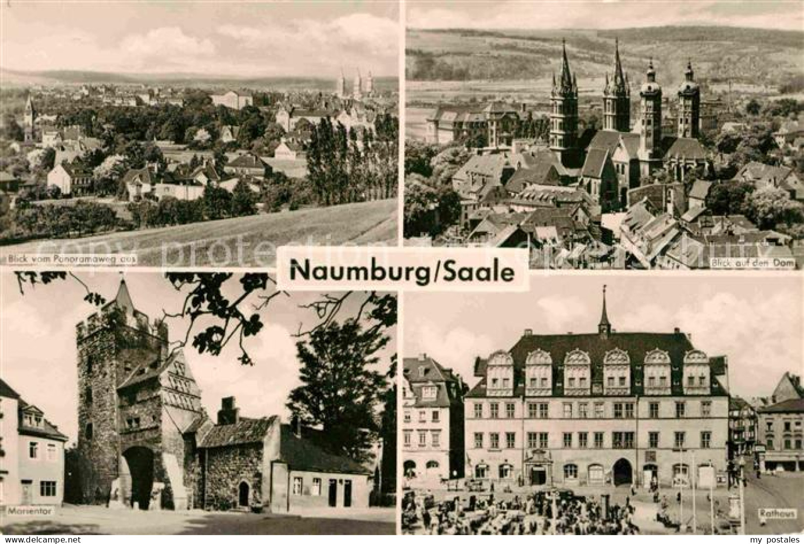 72633647 Naumburg Saale Blick Vom Panoramaweg Stadtbild Mit Dom Rathaus Mariento - Naumburg (Saale)