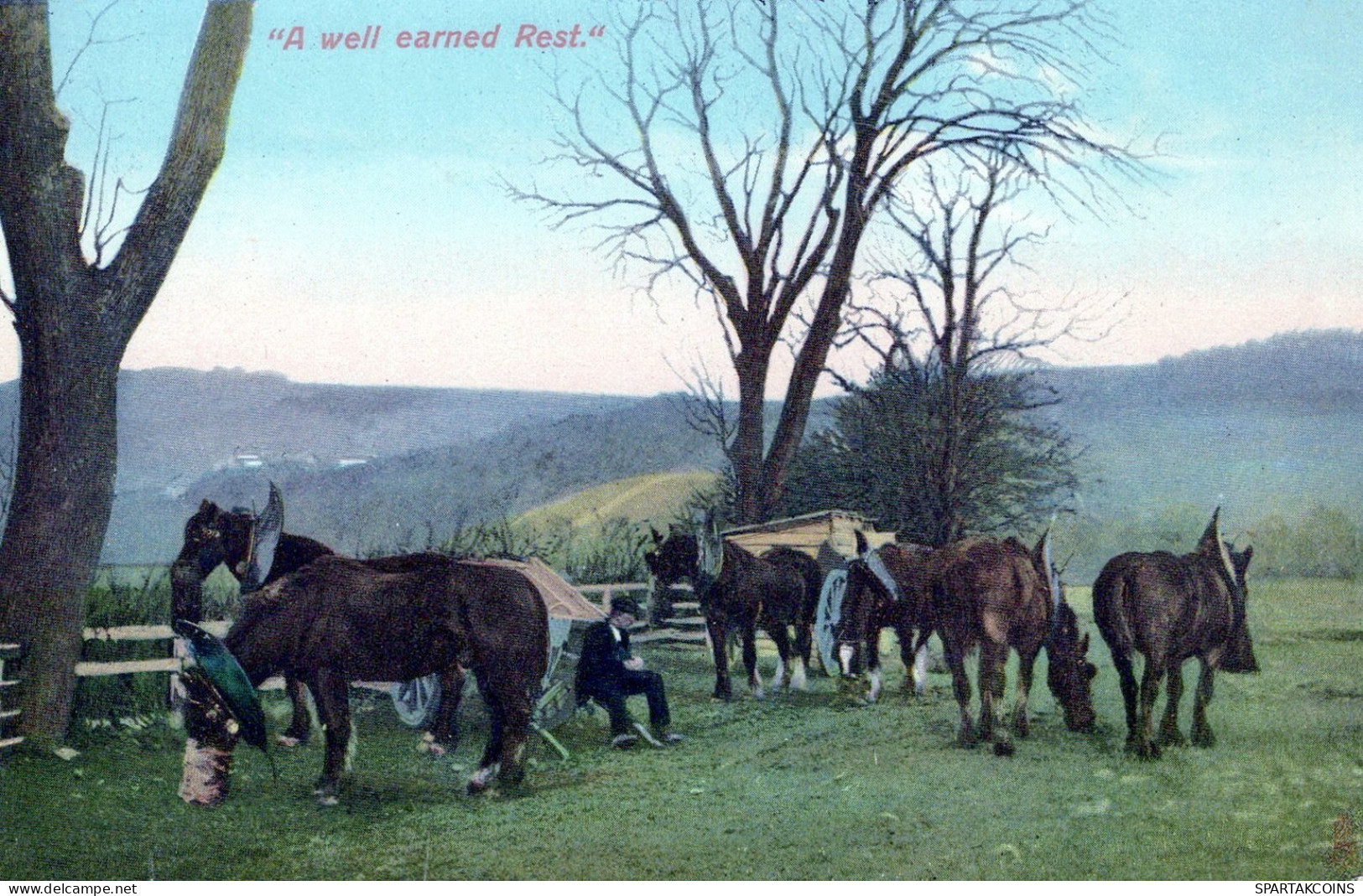 ESEL Tiere Vintage Antik Alt CPA Ansichtskarte Postkarte #PAA147.A - Esel