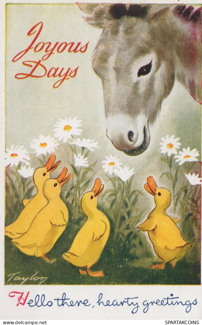 ASINO Animale Vintage CPA Cartolina #PAA156.A - Esel