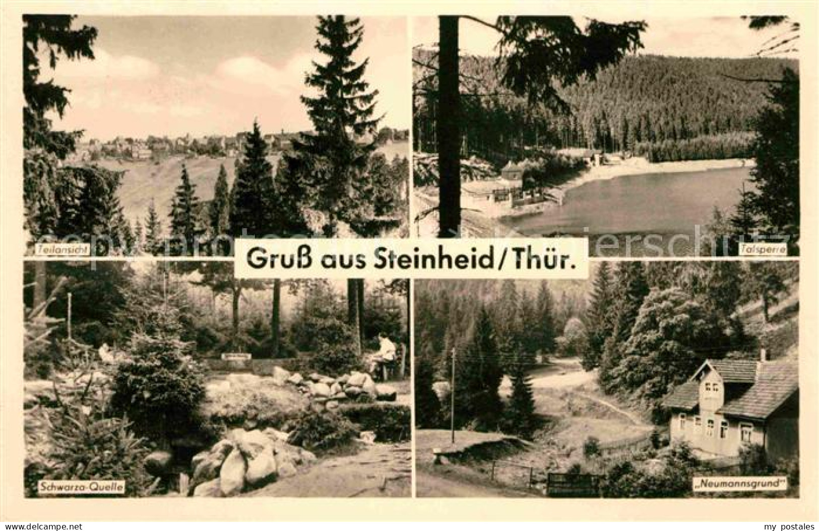 72633519 Steinheid Teilansicht Talsperre Schwarzaquelle Neumannsgrund Steinheid - Autres & Non Classés