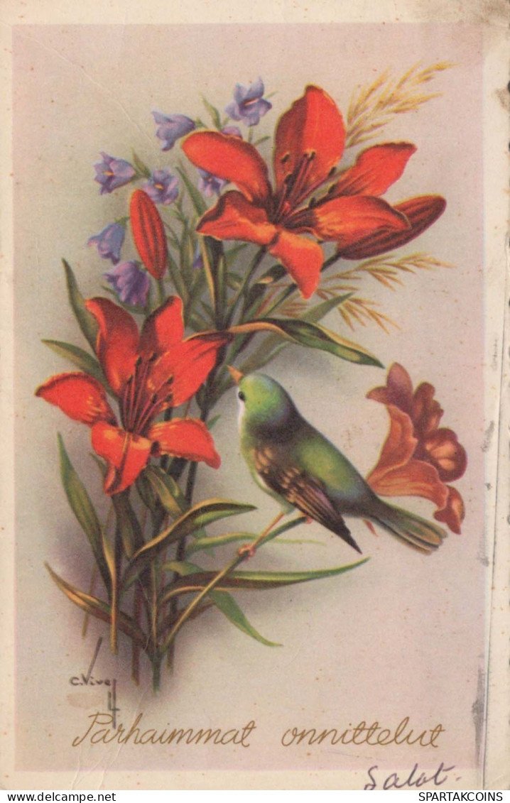 FLEURS Vintage Carte Postale CPSMPF #PKG102.A - Flowers