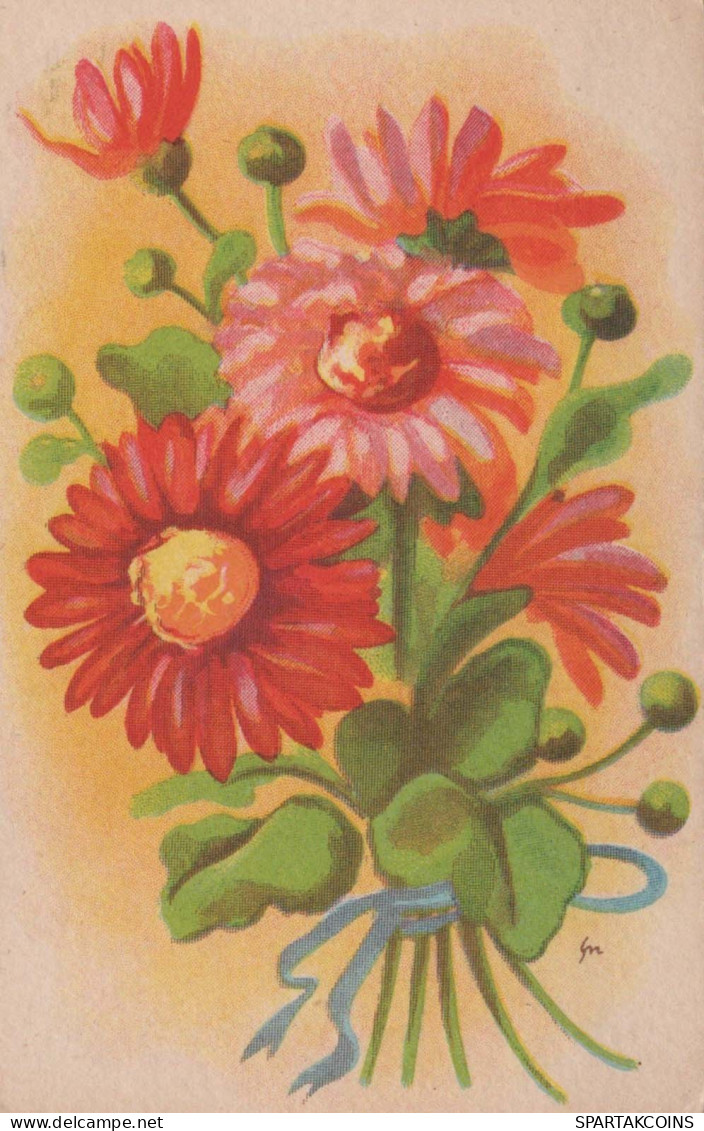 FLORES Vintage Tarjeta Postal CPSMPF #PKG020.A - Flowers