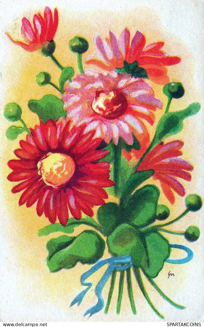 FLORES Vintage Tarjeta Postal CPSMPF #PKG020.A - Flowers