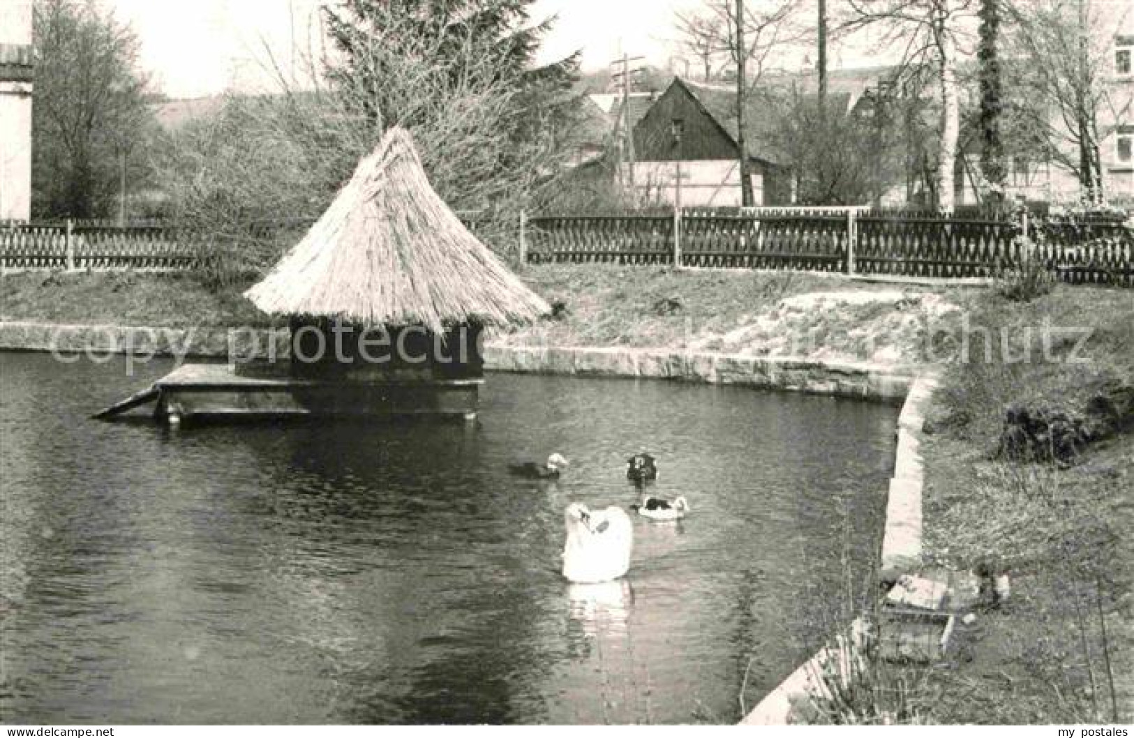 72633516 Rathewalde Schwanenteich Entenhaus Rathewalde - Autres & Non Classés