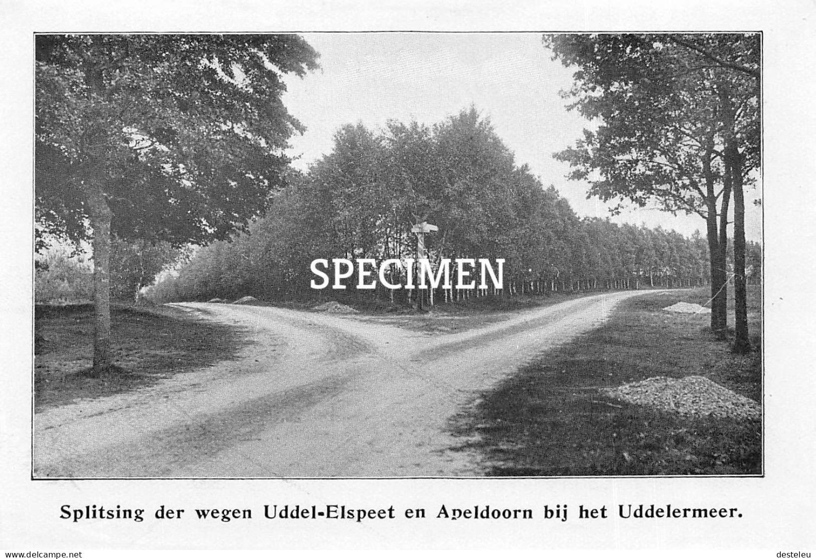 Prent - Splitsing Der Wegen Uddel-Elspeet En Apeldoorn Bij Het Uddelermeer - 8.5x12.5 Cm - Apeldoorn