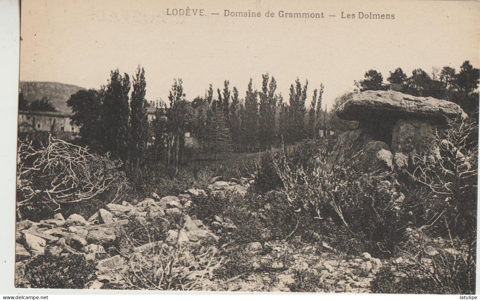 Lodeve  34 Carte Non Circulée Domaine De Gramont _Les Dolmens - Lodeve