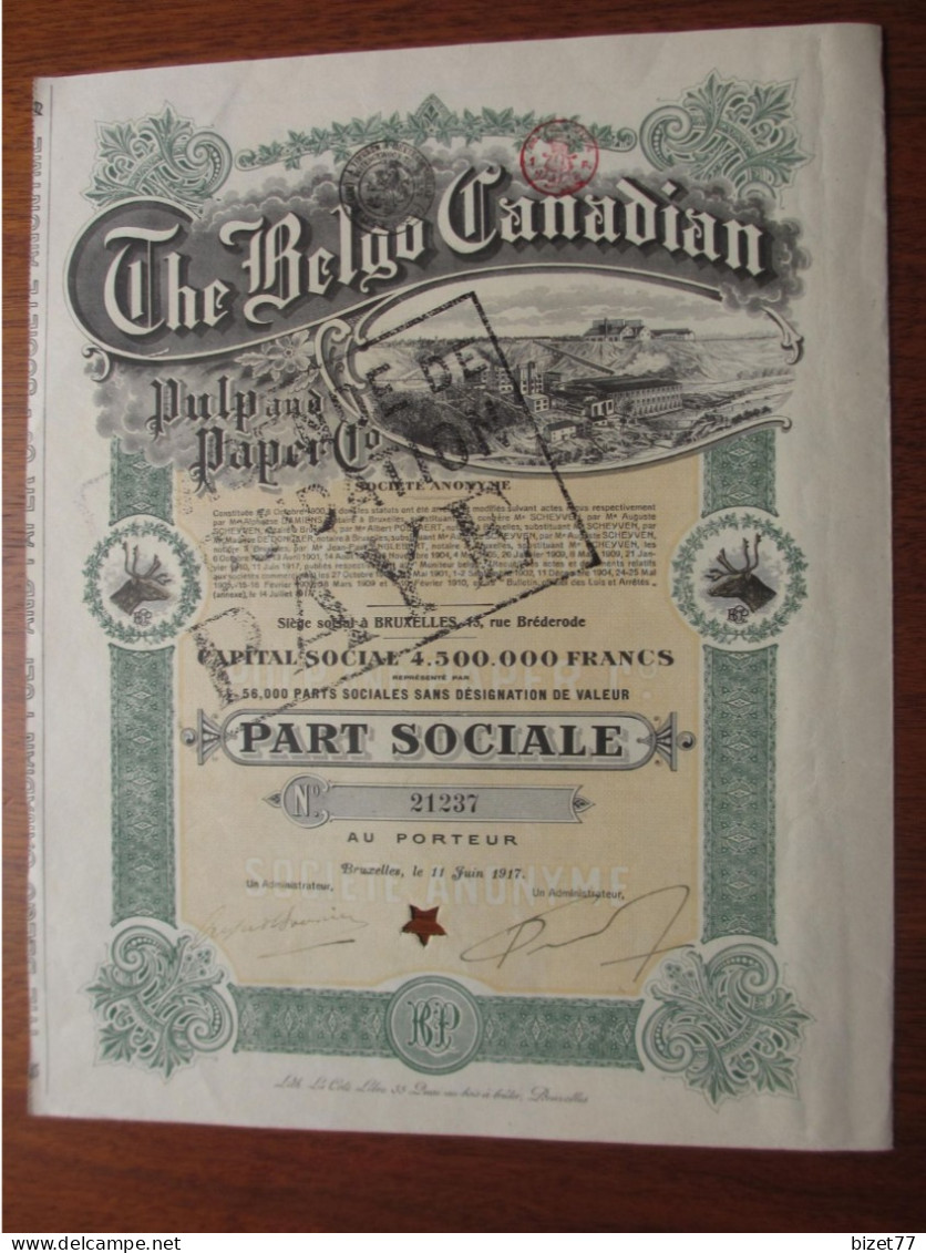 BELGIQUE -BRUXELLES 1917 - THE BELGO-CANADIAN PULP & PAPER - PART SOCIALE - Autres & Non Classés