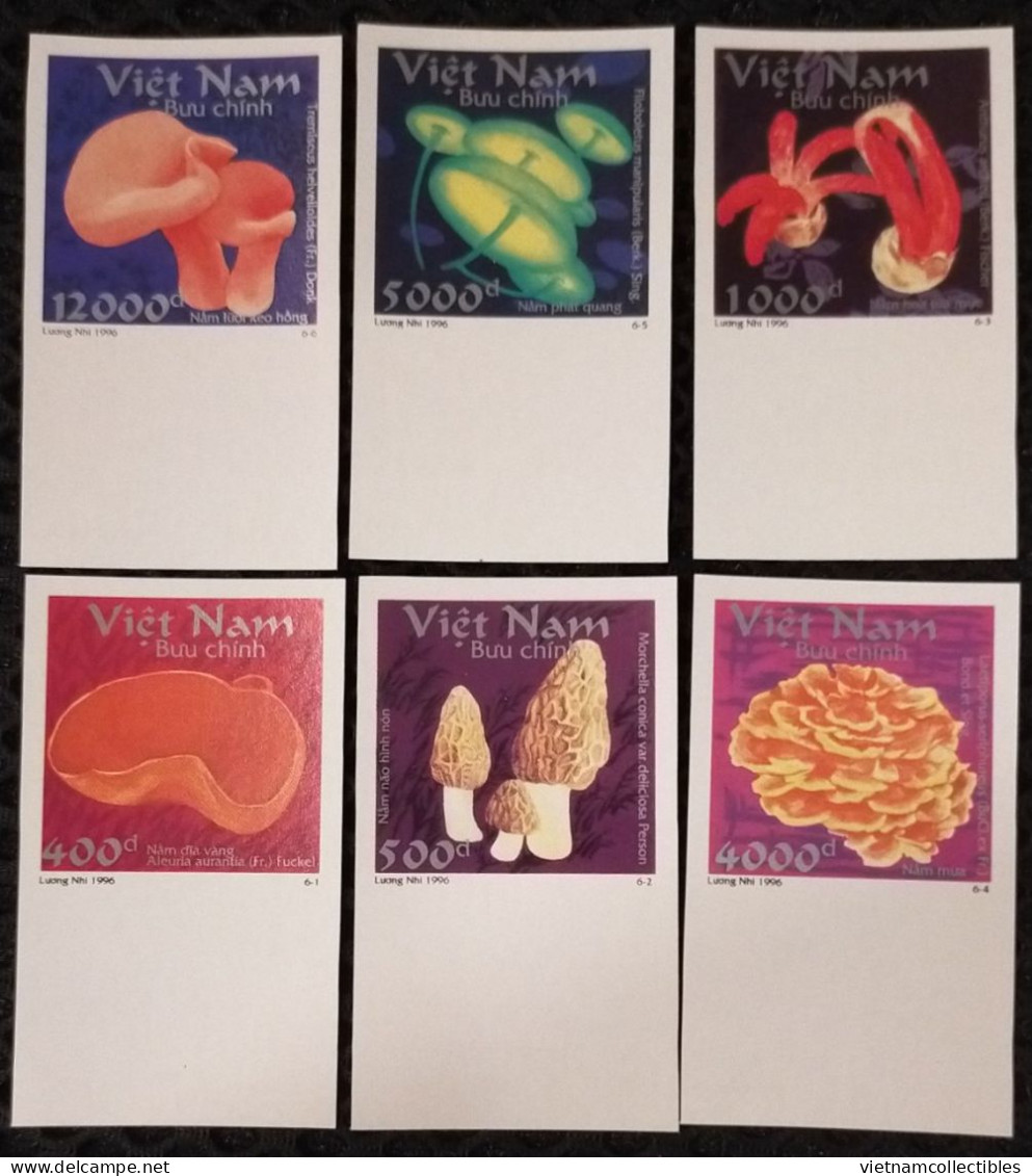 Vietnam Viet Nam MNH Imperf Stamps With Board 1996 : Mushroom (Ms738) - Viêt-Nam