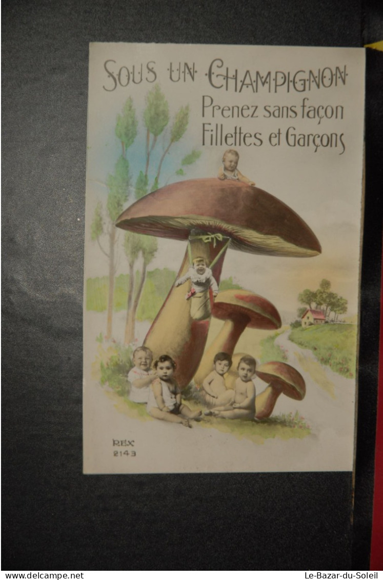 CP,  Bébés, ENFANTS - Fantaisie - " Sous Un Champignon , Prenez Sans Façon Fillettes Et Garçons ", Rex 2143 - Baby's