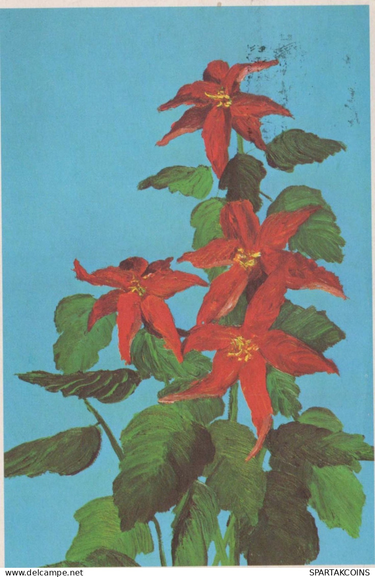 FIORI Vintage Cartolina CPSM #PAR811.IT - Fleurs