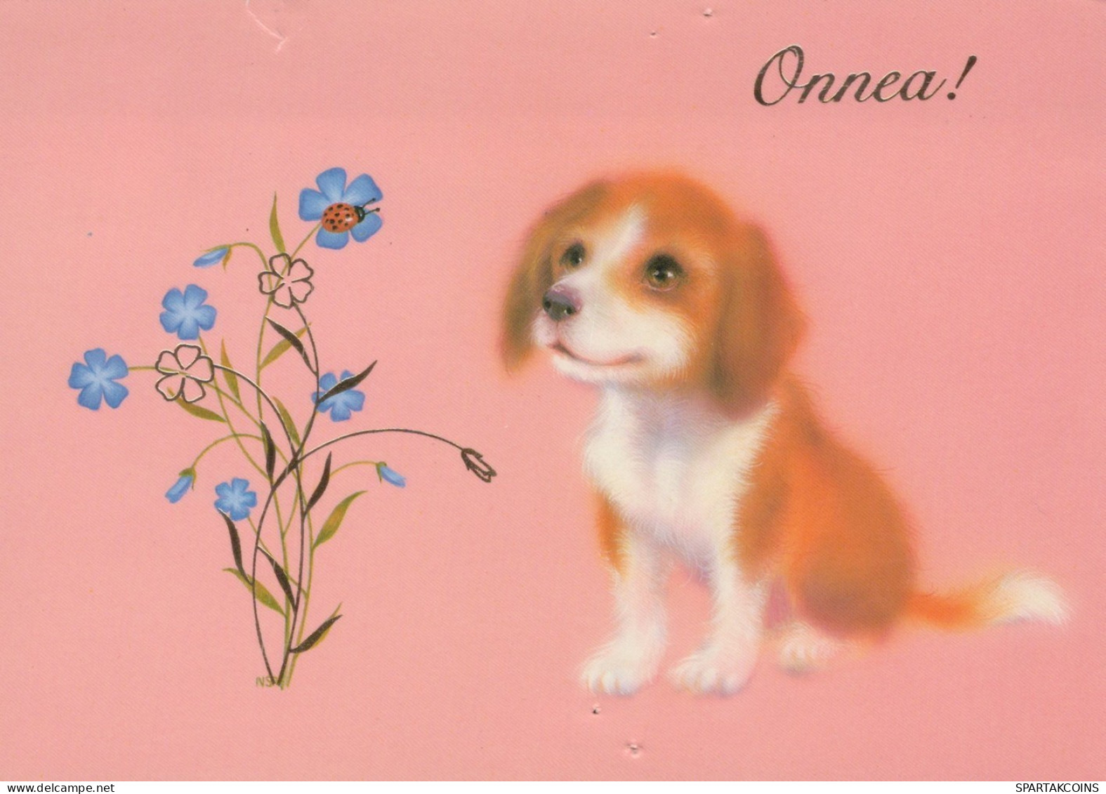 CANE Animale Vintage Cartolina CPSM #PAN635.IT - Dogs