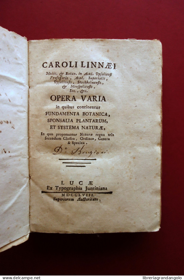 Caroli Linnaei Opera Varia Fundamenta Botanica Sponsalia Plantarum Lucae 1758 - Non Classés