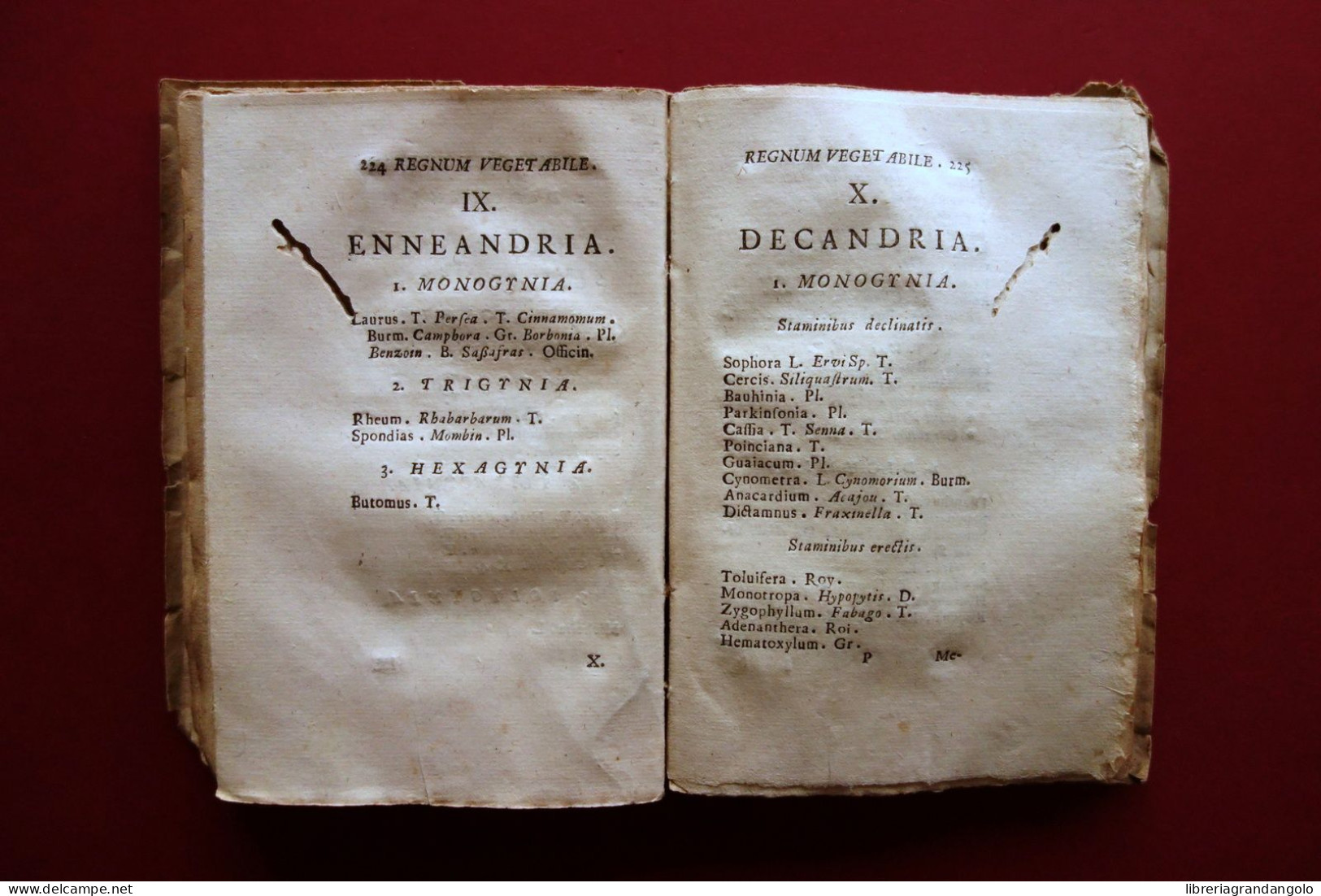 Caroli Linnaei Opera Varia Fundamenta Botanica Sponsalia Plantarum Lucae 1758