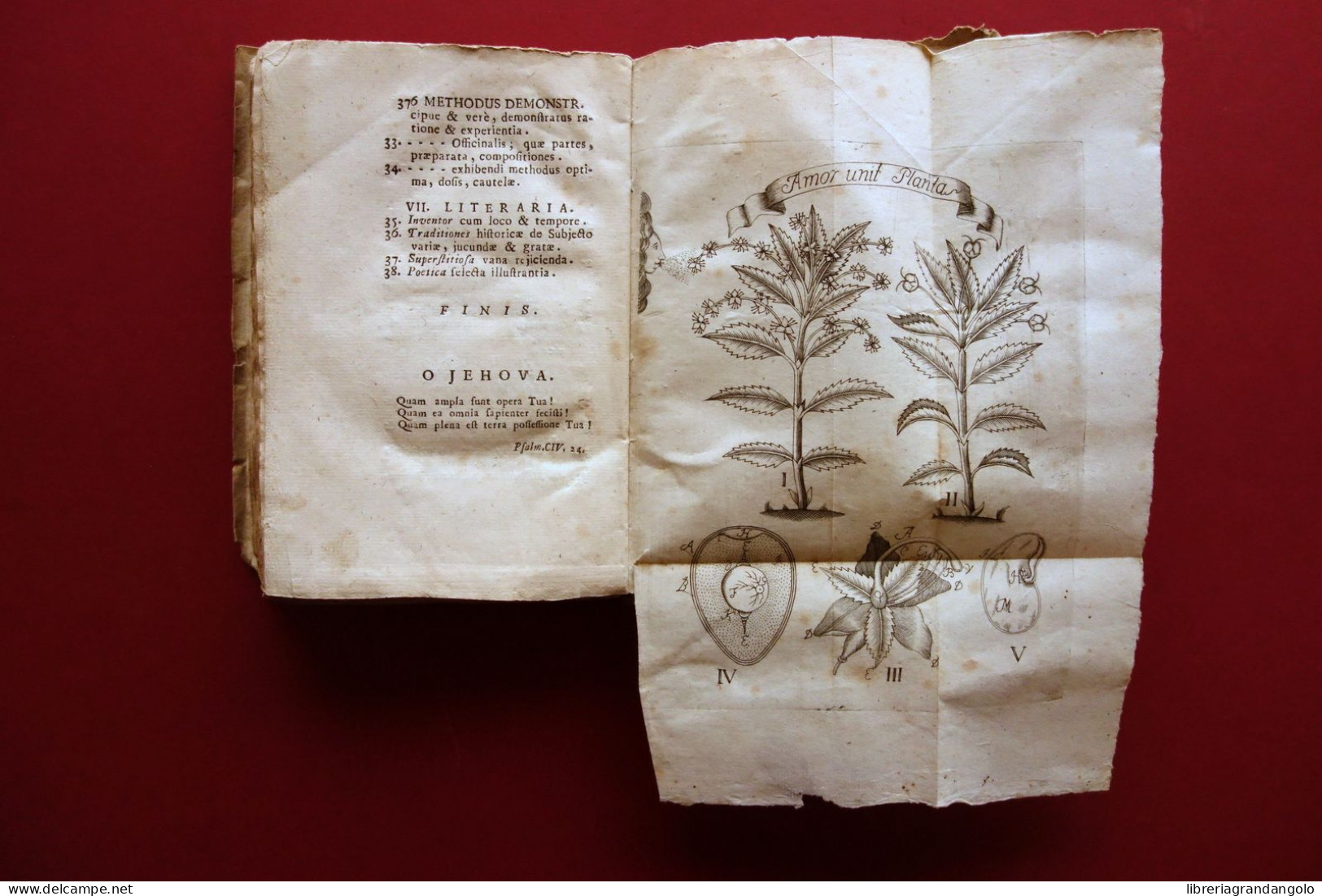 Caroli Linnaei Opera Varia Fundamenta Botanica Sponsalia Plantarum Lucae 1758