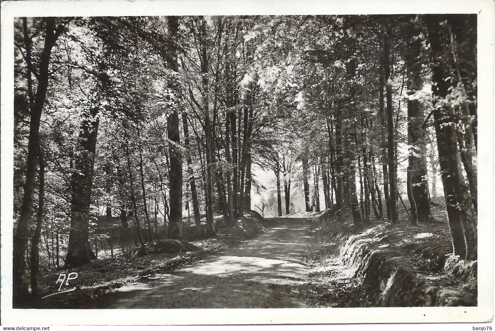Montfort L'Amaury (78) - Promenade En Forêt - Montfort L'Amaury