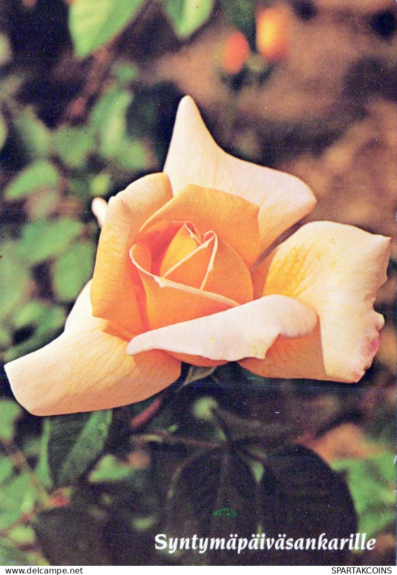 FLOWERS Vintage Ansichtskarte Postkarte CPSM #PAS351.DE - Flowers