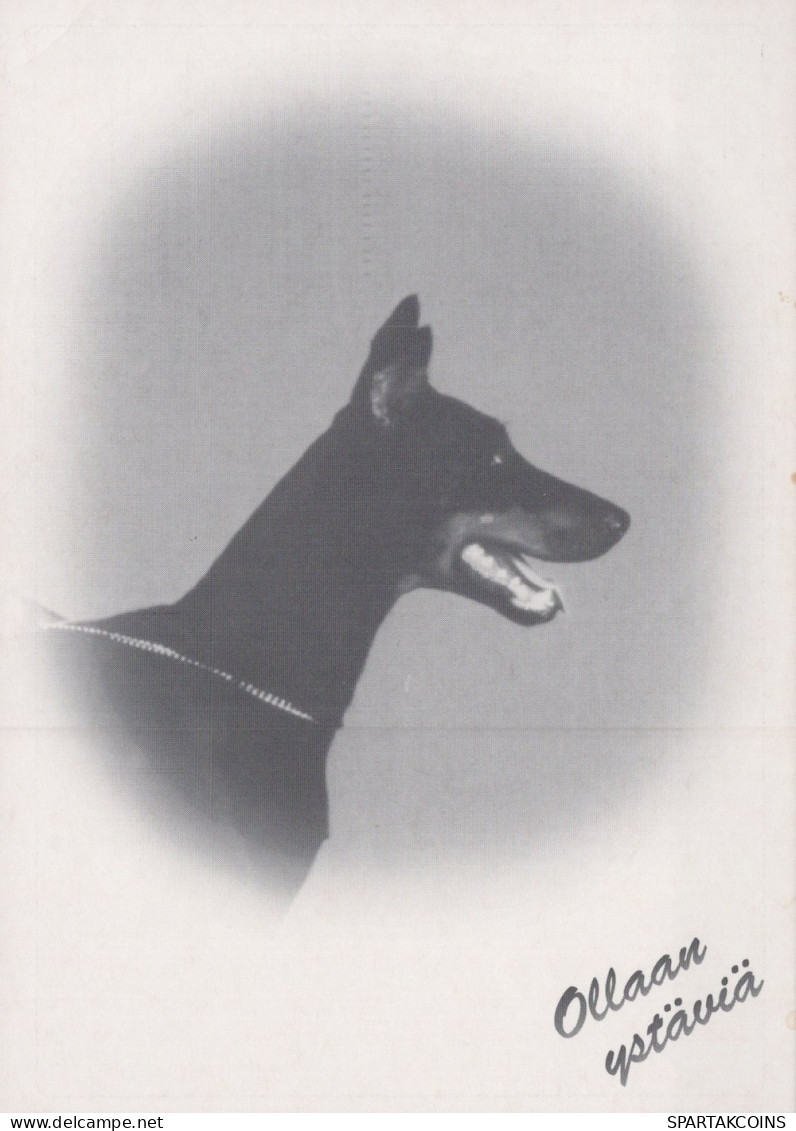 HUND Tier Vintage Ansichtskarte Postkarte CPSM #PAN965.DE - Dogs
