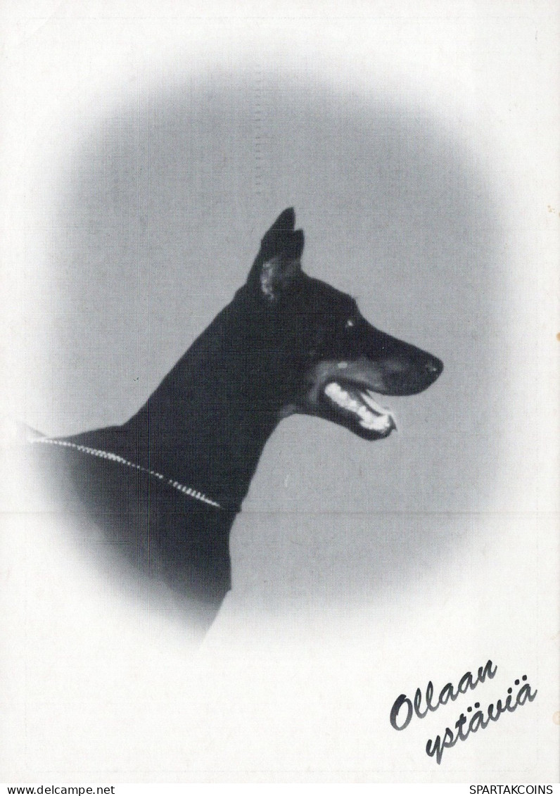 HUND Tier Vintage Ansichtskarte Postkarte CPSM #PAN965.DE - Dogs