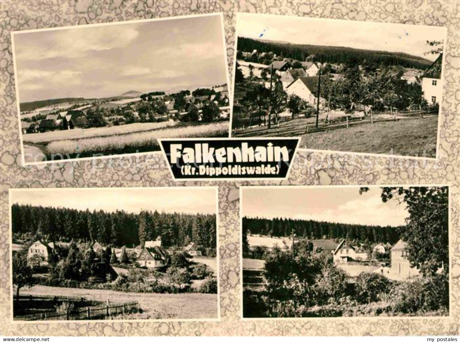 72632596 Falkenhain Altenberg Erzgebirge Teilansichten Landschaftspanorama Falke - Altenberg