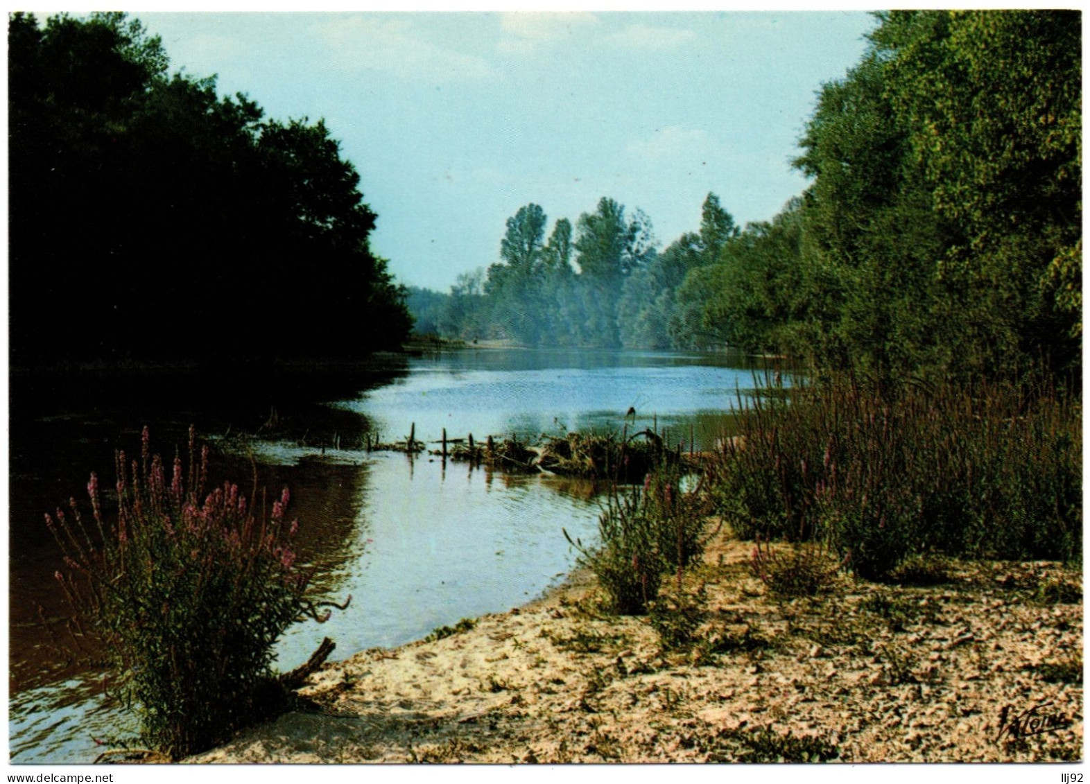 CPSM GF 36 - CHABRIS (Indre) - F. 15 523. Les Bords Du Cher - Other & Unclassified