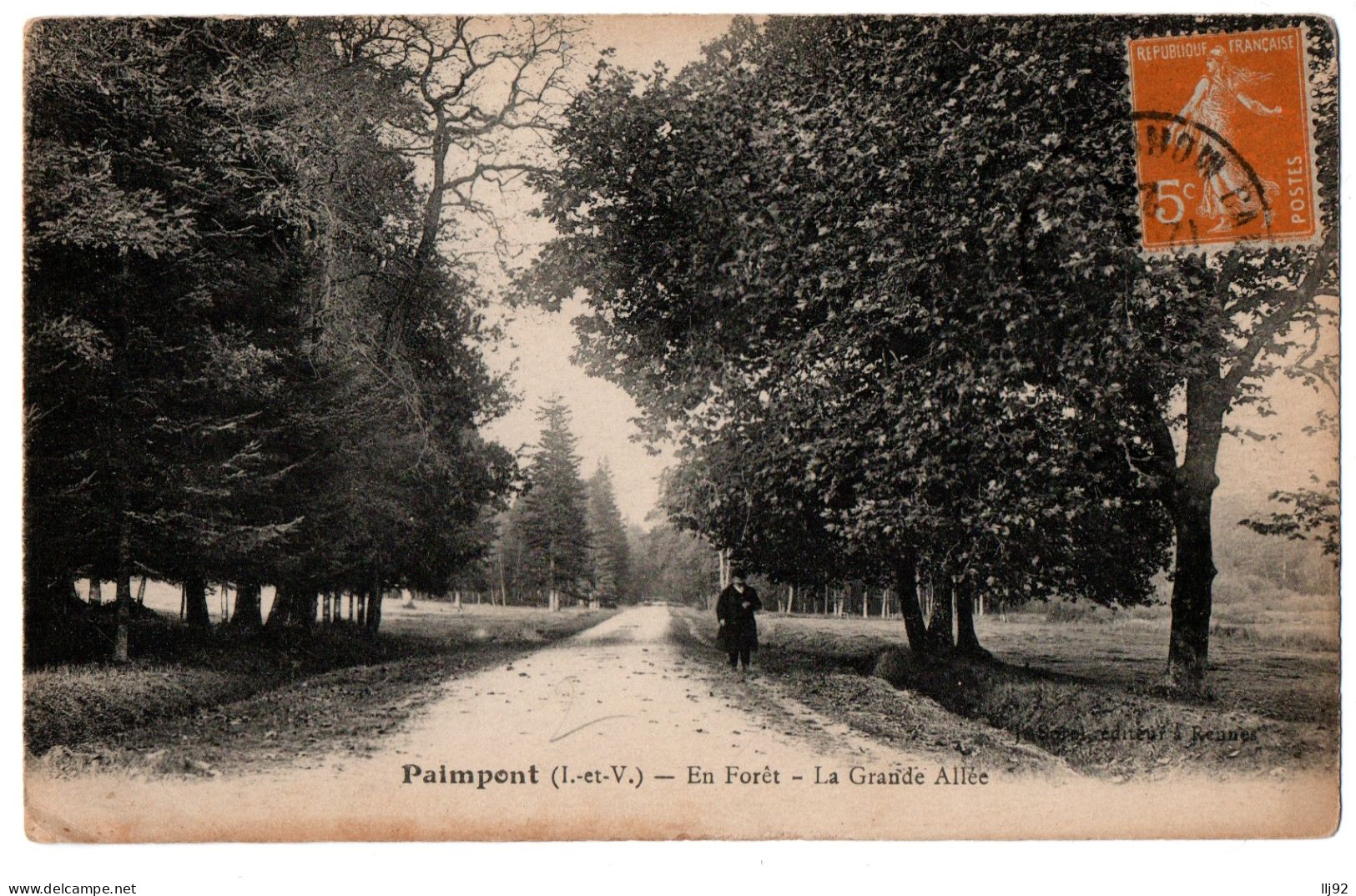 CPA 35 - PAIMPONT (Ille Et Vilaine) - En Forêt - La Grande Allée - Paimpont