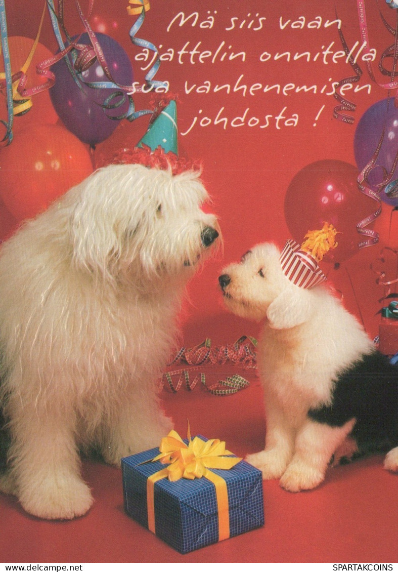 PERRO Animales Vintage Tarjeta Postal CPSM #PAN765.ES - Hunde