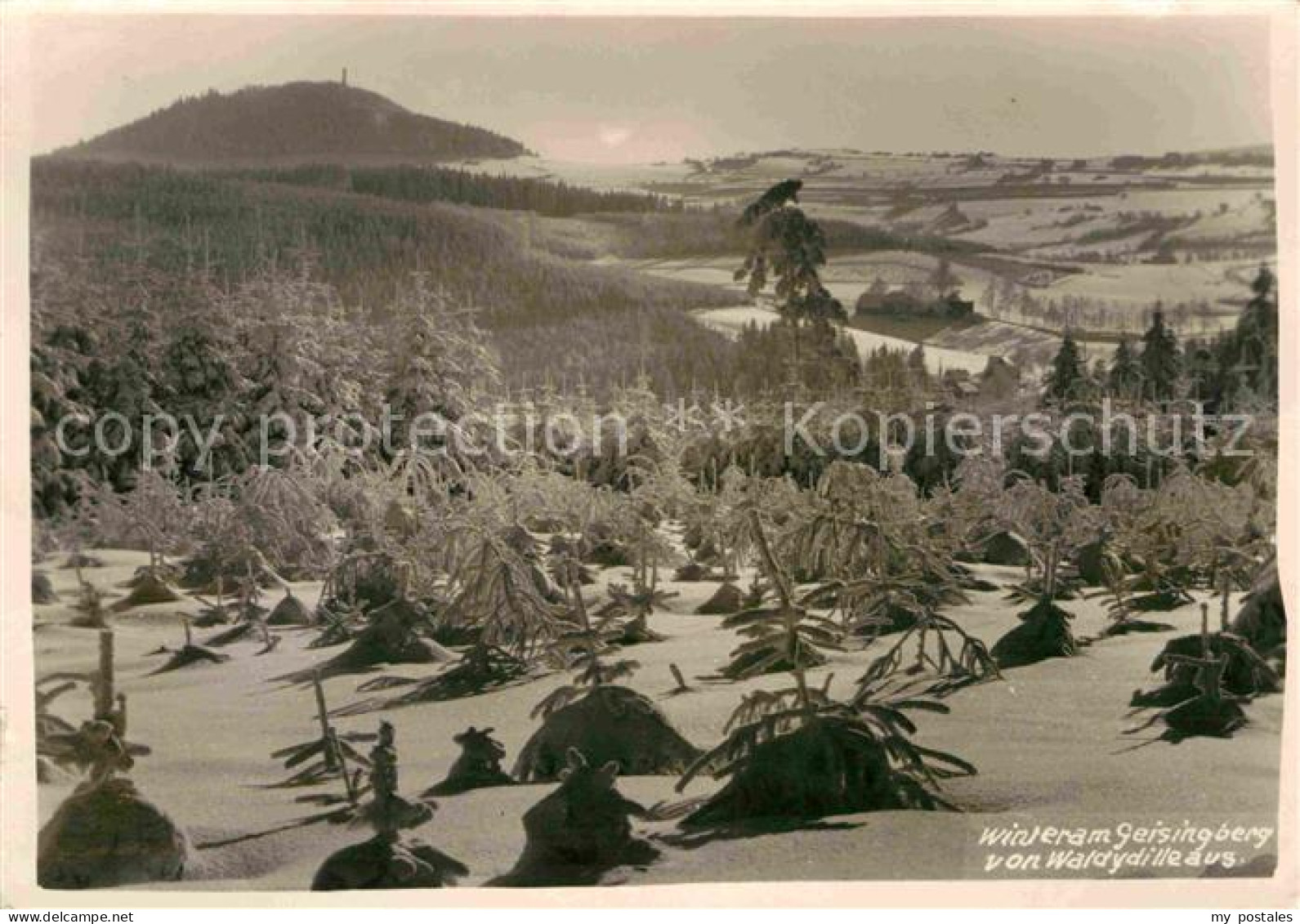 72632488 Waldidylle Winter Am Geisingberg Waldidylle - Altenberg