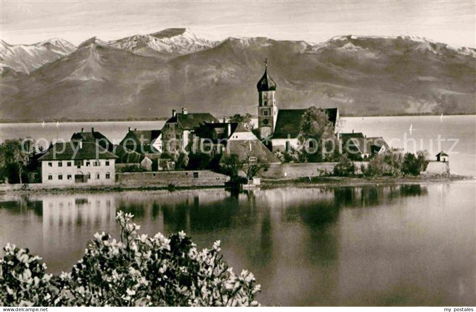 72632277 Wasserburg Bodensee Halbinsel Mit Oesterreichischen Alpen Wasserburg (B - Wasserburg (Bodensee)