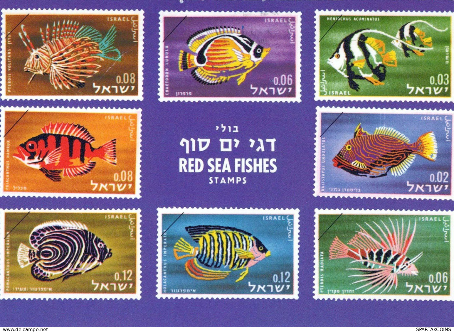 PESCADO Animales Vintage Tarjeta Postal CPSM #PBS882.ES - Fische Und Schaltiere