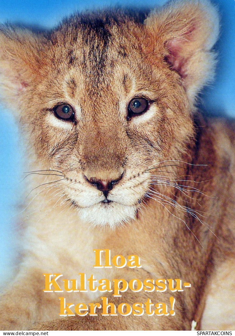 LEÓN Animales Vintage Tarjeta Postal CPSM #PBS046.ES - Lions