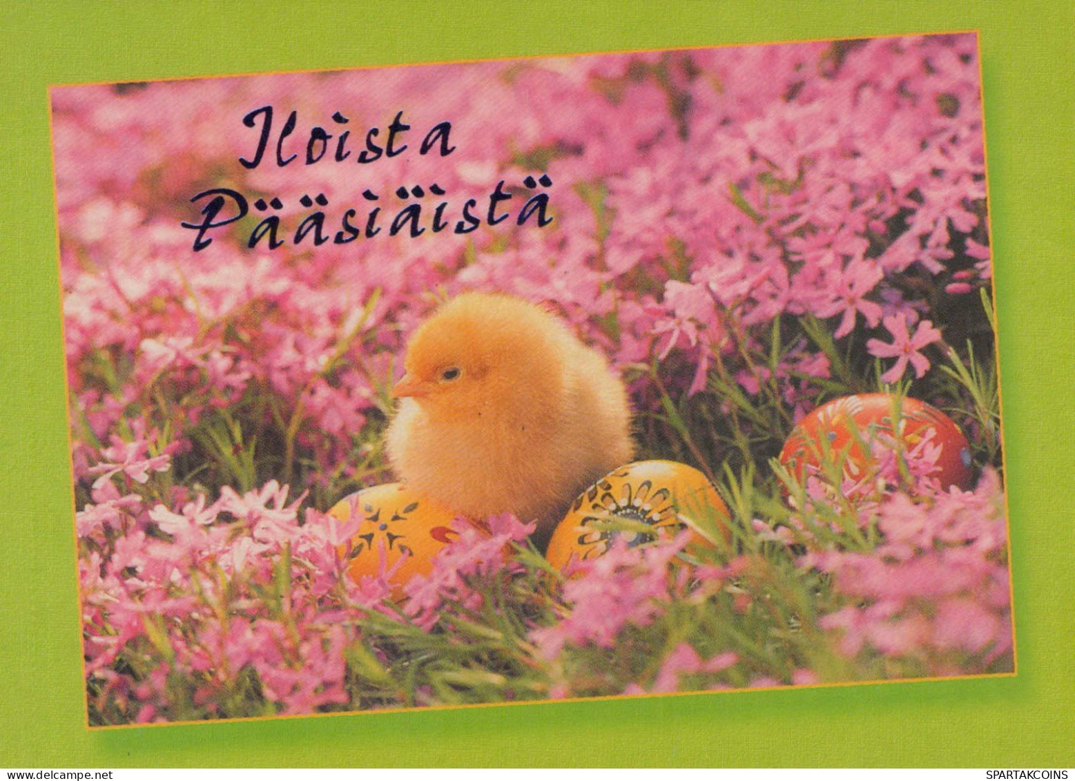 PASCUA POLLO HUEVO Vintage Tarjeta Postal CPSM #PBP123.ES - Pâques