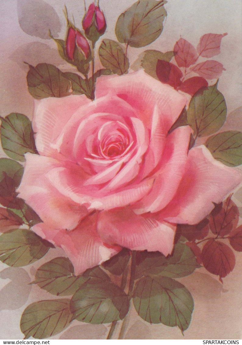 FLOWERS Vintage Postcard CPSM #PAS228.GB - Flowers