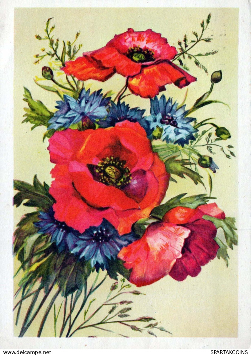 FLOWERS Vintage Postcard CPSM #PAR206.GB - Blumen