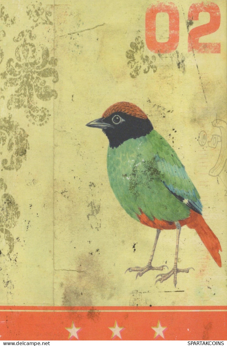 BIRD Animals Vintage Postcard CPSM #PAN375.GB - Vögel