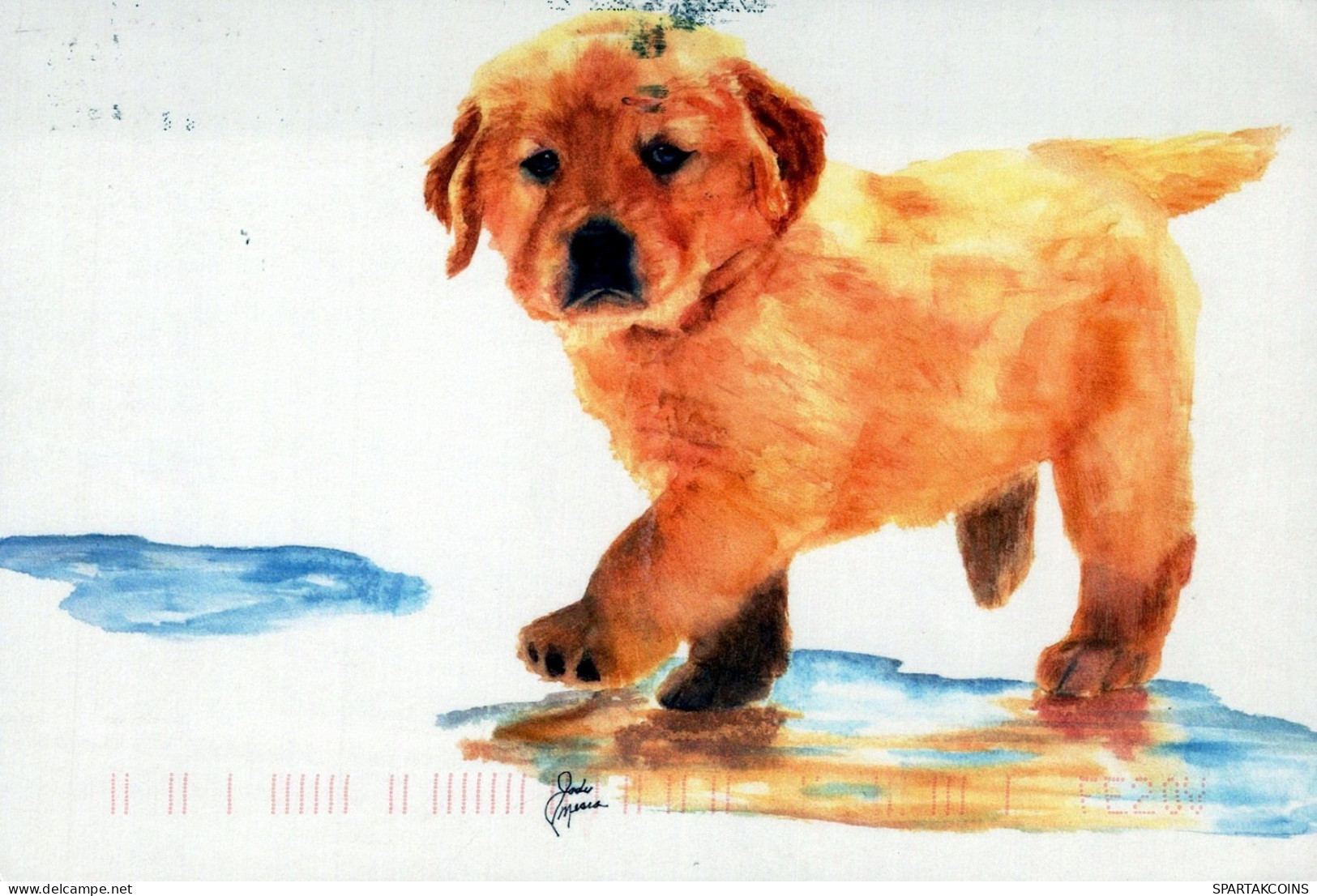 DOG Animals Vintage Postcard CPSM #PAN565.GB - Hunde