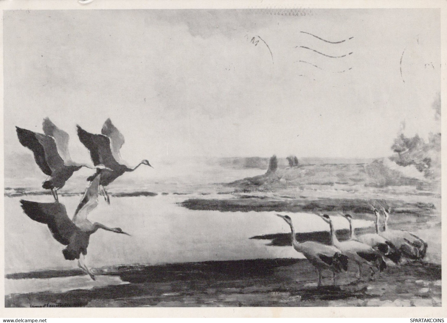 BIRD Animals Vintage Postcard CPSM #PAN312.GB - Pájaros