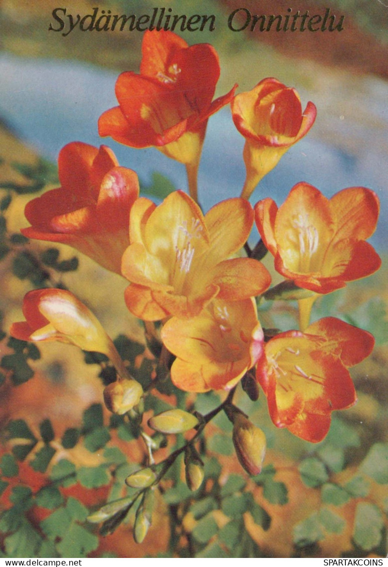 FLEURS Vintage Carte Postale CPSM #PBZ881.FR - Blumen