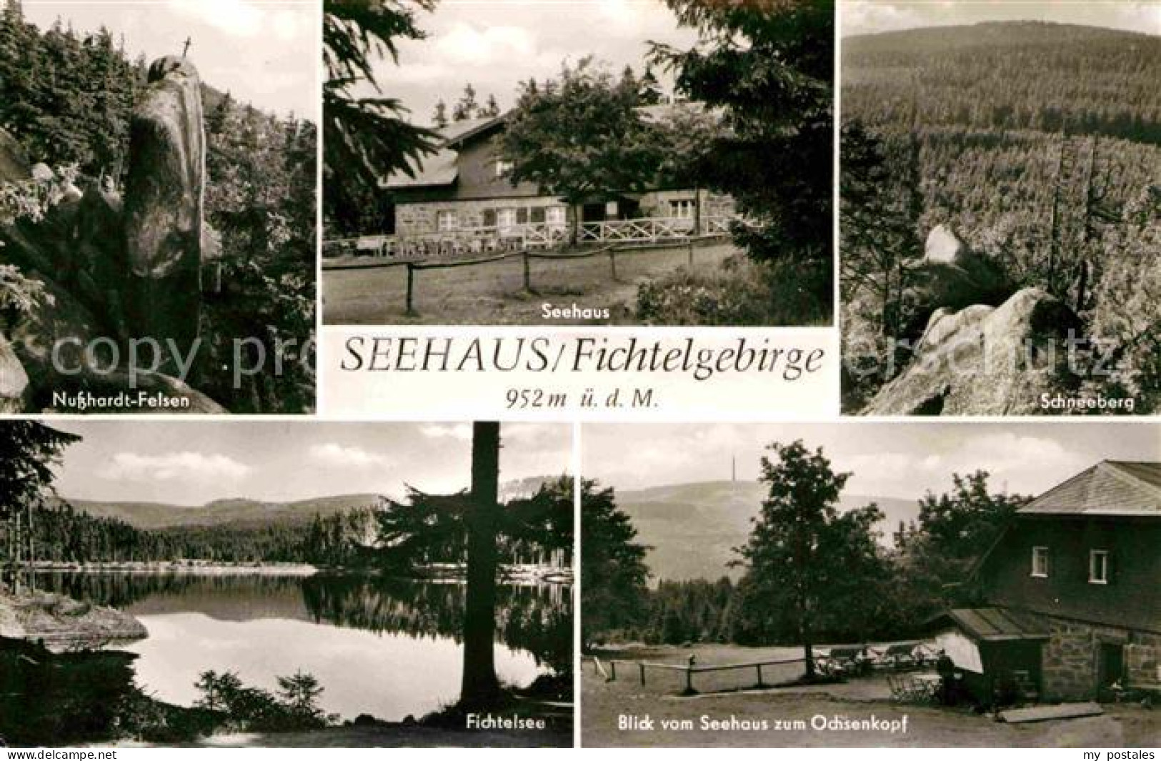 72632158 Seehaus Fichtelgebirge Nusshardt Felsen Schneeberg Fichtelsee Blick Zum - Andere & Zonder Classificatie