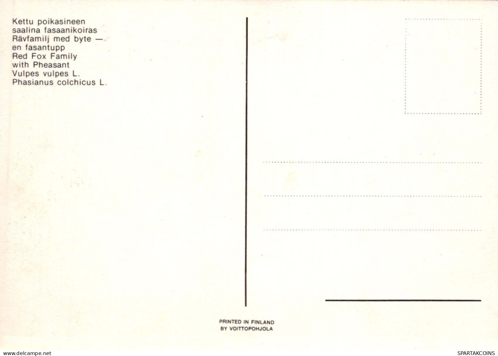 RENARD Animaux Vintage Carte Postale CPSM #PBS811.FR - Andere & Zonder Classificatie