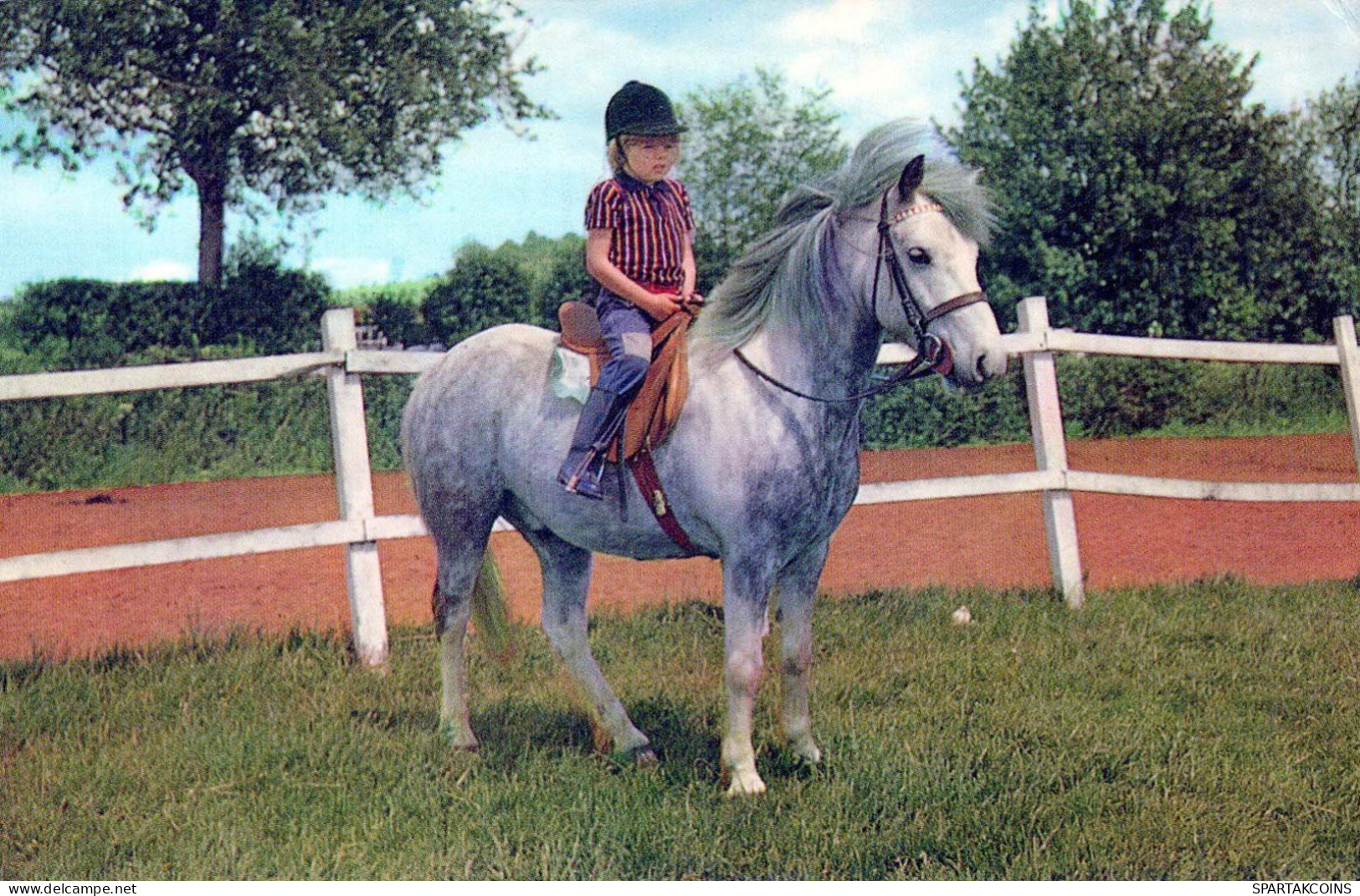 HORSE Animals Vintage Postcard CPA #PKE880.GB - Chevaux