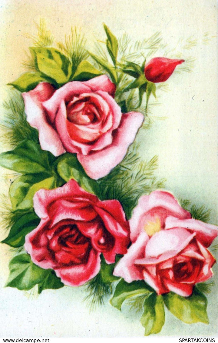 FLOWERS Vintage Postcard CPA #PKE630.GB - Fleurs