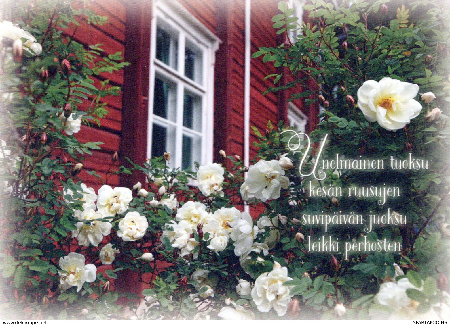 FLOWERS Vintage Postcard CPSM #PBZ335.GB - Fleurs