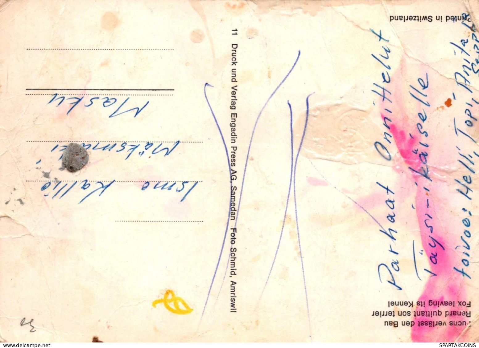 FOX Animals Vintage Postcard CPSM #PBS809.GB - Autres & Non Classés