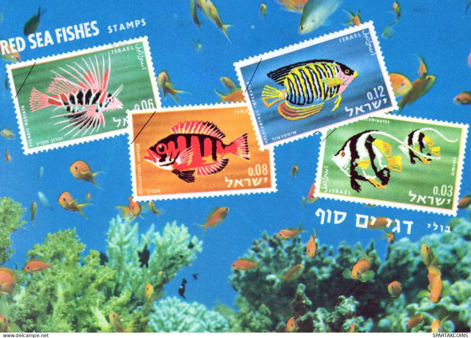 FISH Animals Vintage Postcard CPSM #PBS881.GB - Poissons Et Crustacés