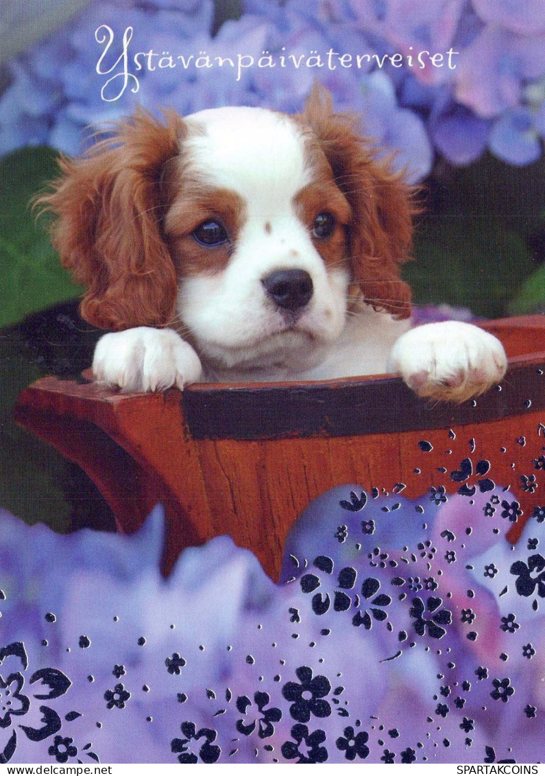 DOG Animals Vintage Postcard CPSM #PBQ662.GB - Chiens