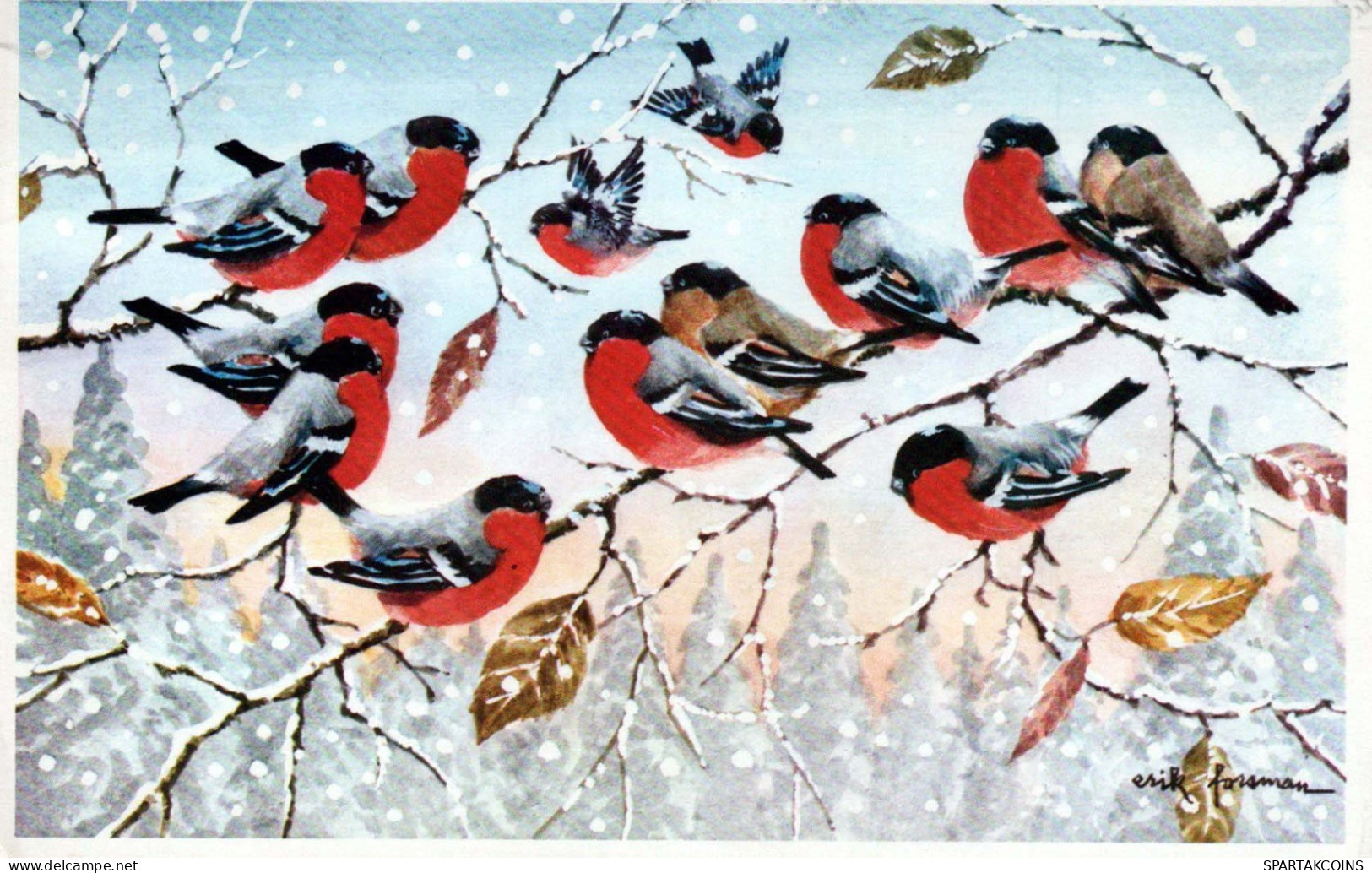 Happy New Year Christmas BIRD Vintage Postcard CPSM #PBM678.GB - Neujahr