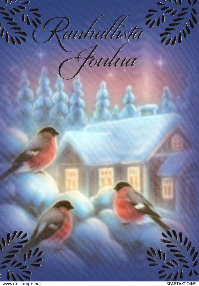 Happy New Year Christmas BIRD Vintage Postcard CPSM Unposted #PBA618.GB - Nouvel An